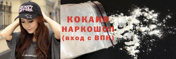 прущие грибы Михайлов
