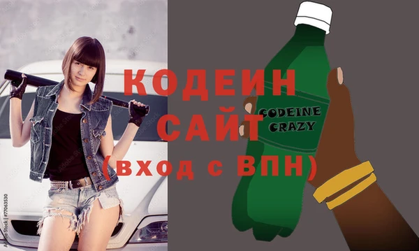 прущие грибы Михайлов
