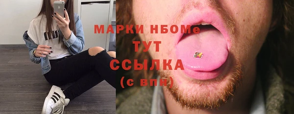 хмурый Дмитровск