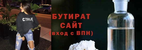 прущие грибы Михайлов