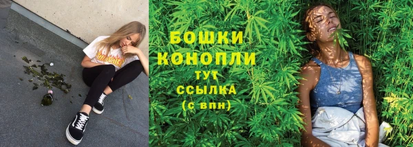 mdma Дмитриев