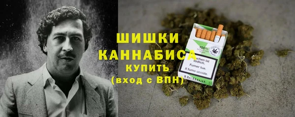прущие грибы Михайлов